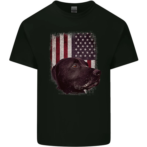 Amerikanischer labrador usa - amerikanischer,