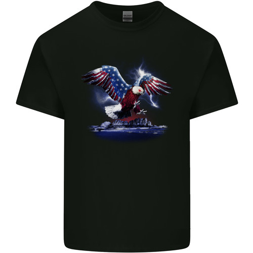 Usa american eagle - usa,
